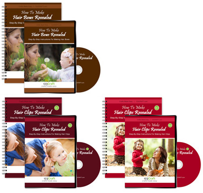 Details Hair Bows and Clips Bundle